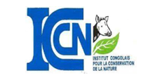 ICCN